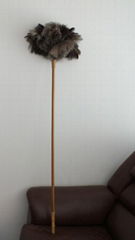 ostrich feather duster