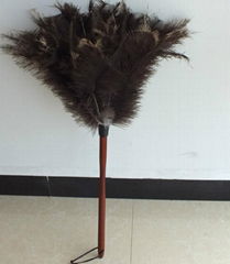 ostrich feather duster