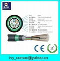  Armored and Double Sheathed Outdoor direct burial Cable 1