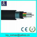 GYTS Steel Tape layer Loose Tube Armored Outdoor fiber optic Cable 4