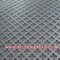 ss304 and ss316 perforated mesh