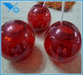 plastic round red juice and wine bottlt 2