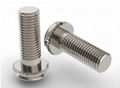 stainless steel bolts