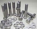 stainless steel bolts and nuts 1