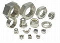 stainless steel nuts 1
