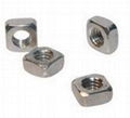 stainless steel nuts