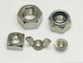 stainless steel nuts 1