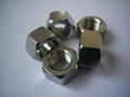 hex nuts 1