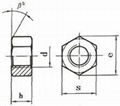 hex nuts 3