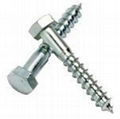 tapping screw 3