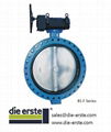 Butterfly Valve 3