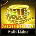  High Lumen Waterproof SMD 3528/5050 LED Strip Light CE & RoHs Approved 1