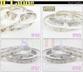 High Lumen Waterproof SMD 3528/5050 LED Strip Light CE & RoHs Approved 3