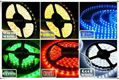 Factory Direct Sale Waterproof SMD 3528/5050 LED Strip Light CE & RoHs Approved 2