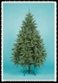 Christmas Decoration Tree (S604) 5