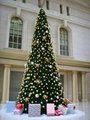 Big Pine Needles Christmas Tree (GT-20) 5