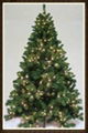 Pre-Lighting Christmas Tree SL607