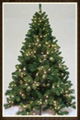 Pre-Lighting Christmas Tree SL607 Pre-Lighting Christmas Tree SL607 2