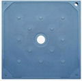 Replaceable membrane filter plate, low contamination and durable 1