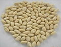 BLANCHED PEANUTS 2