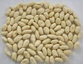 BLANCHED PEANUTS 3