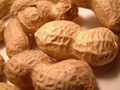 PEANUTS IN SHELL 1