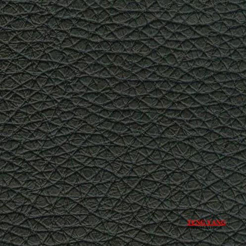 Embossed Sofa Leather 2