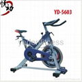 Swing Spin Bike 4