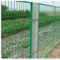 Wire Mesh Fence