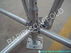 Ringlock scaffold