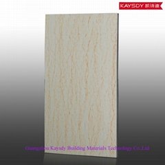 Guang zhou kaysdy series clear plastic ceiling panel