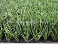 Hight-grade football grass