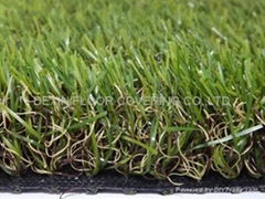 High quality of landscaping grass