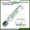 Greenhouse garden hydroponics lights MH  2