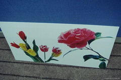 goldensign printing board 