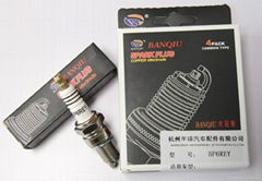 The bulk special gas spark plug