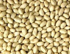 BLANCHED PEANUTS