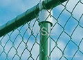 pvc coated chain link fence