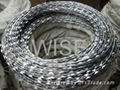 razor wire