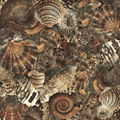 The undersea world series rustic tile