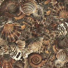 The undersea world series rustic tile 600*600 