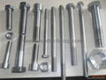 Alloy fastener 1