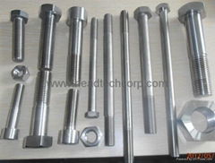 Alloy fastener