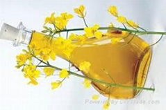 rapeseed oil