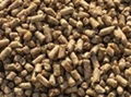 ANIMAL FEED-SOY BEAN,BEET PULP 2