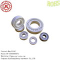 ceramic bearings