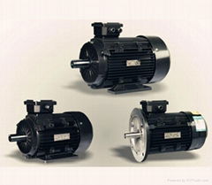 Y2 series three-phase induction motor