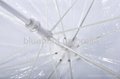 dome shape transparent LED umbrella 4