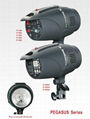 Flash light for studio digital studio flash light 3