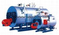 WNS series oil(gas)-fired steam/hot